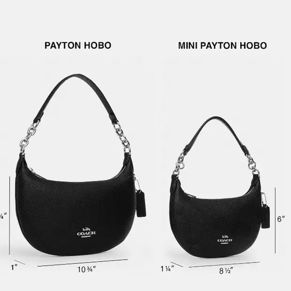 Coach Mini Payton Bag! NWT Silver/Chalk - Picture 11 of 11